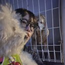 라리경로당 이미지