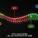 (주) 한빛나노의료기 이미지