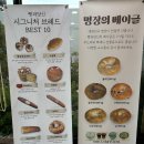 빵과당신 이미지