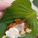 쭈꾸쭈꾸 | 전주 쭈꾸미 서신동 맛집 쭈꾸쭈꾸 포장 후기