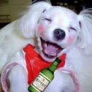 트로트 신나는 노래 모음 20곡 이미지