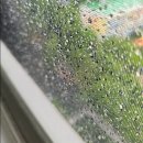 망경로 | 강동구 명일동 삼익그린2차 아파트 601동 미세발수망 교체 후기