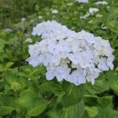 호박스포츠 이미지