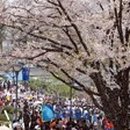 충훈2교 옆 이미지