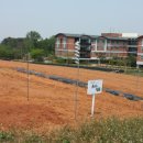 화수 농장 이미지