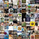 클로버게임즈(주) | 블로그 인기 포스팅만 모아: 매일 최신의 인기 블로그 포스팅을 한곳에서!! (2026.02.05 17:16)