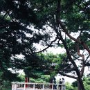 중앙공설시장(성서동) 이미지