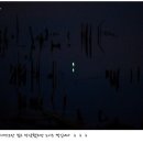 내맘을담다