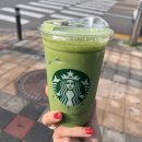 만솔숲 | [4월 일상] 늦어버린 4월 마지막