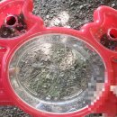 소백산 준 스테이 이미지