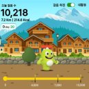 마산종합운동장 농구장 | 2025~2026시즌 LG전자 프로농구 정규리그 현대모비스 : 부산KCC 경기 직관 후기