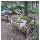 아름다운 정원을 꿈 이미지