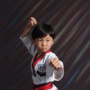 상록키즈태권도 이미지