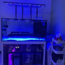 용산-현장-965 | 4자섬프 수조 제작기 2부(by 에스에이아쿠아아)