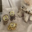 까까멍냥 이미지