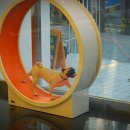 풍경동물병원 이미지