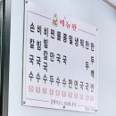 마산 칼국수 맛집 은하칼국수