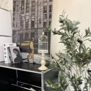 베리하우스 이미지