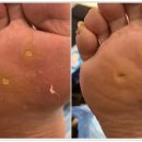 레푸스서초교대역점 이미지