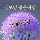 어머니이름으로 이미지
