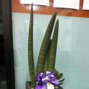 예성공인중개사사무소 이미지