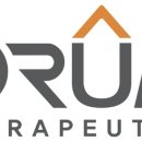 테라메딕스 이미지