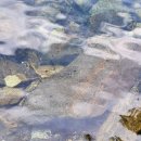 하온비펜션 이미지