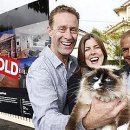 고양이 주택 이미지