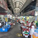 민물건강원 이미지