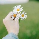 하늘꽃 - 고양시 덕양구 동산1로2길 5-20 | 하늘꽃