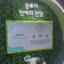 DMZ 평화쉼터 이미지