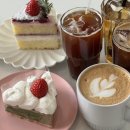 미루상회 | 2026년 3월간 보고.