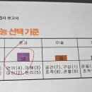 둥지가족상담센터/심리카페멘토