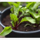 건강나누리약국 이미지