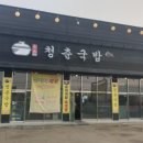청춘포도 이미지