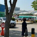 직거래마트 | 하나로마트 성남점 원예 쇼핑🌲 성남 화훼농가 직거래 장터 25년 5월 14일 방문후기