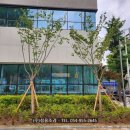 상인3동행정복지센터 이미지