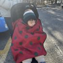 미니스톱전주대신정문점 | 1월 서울랜드 눈썰매 빙어잡이 평일 후기 ㅣ 종일권 할인 정보