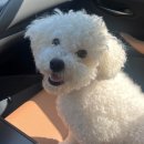 도기캠프 이미지