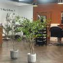 마산 합성동 남성 전문 미용실 바버샵, 맨인브라운 커트 후기