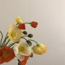 매일 꽃 이미지