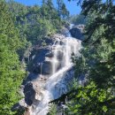 피오르 숲 빌리지 | [스쿼미시] 밴쿠버 근교 필수코스 입장료 없는 섀넌폭포 주립공원 Shannon Falls Provincial Park