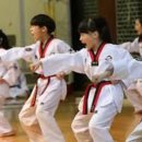 우리나라 태권도 이미지