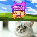 오늘도 댕댕 이미지