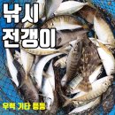 통통한 돼지 전갱이가 느나느나~ 이미지