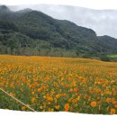 연천신답리고분 이미지