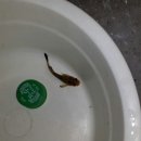 용풍낚시터 이미지