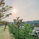 대전 신탄진 금강로하스공원, 금강로하스산호빛공원은 텐트치고 캠핑차박하기 좋은 장소!(Feat. 핑크...