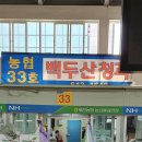 백두산청과 Daum카페