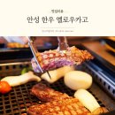 안성 한우 분위기 좋은 정육식당 옐로우카고